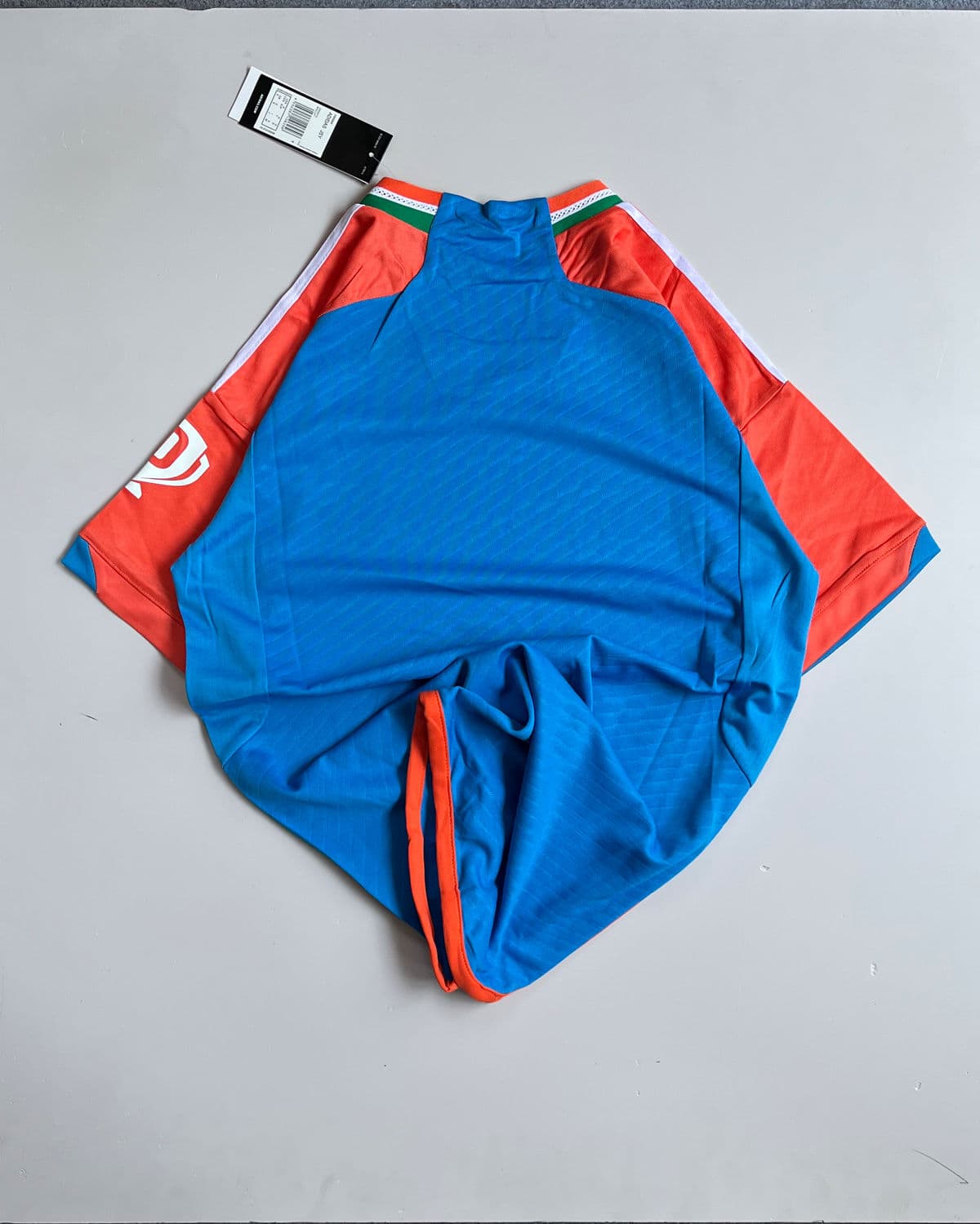 Thumbnail 2 of India T20 2024